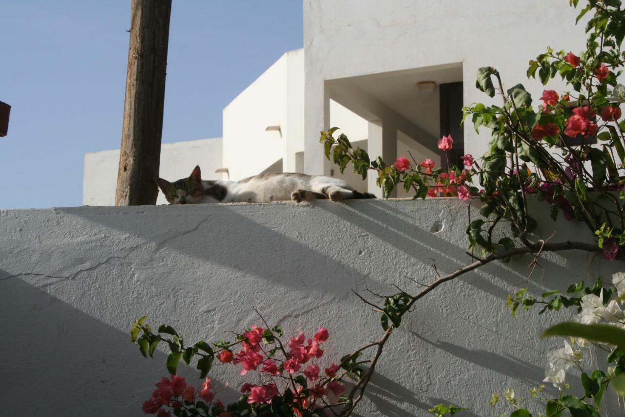 Auberge Keur Diame Dakar Exterior foto